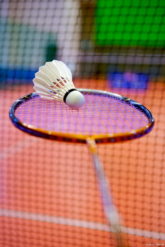 在这篇文章 在这篇文章